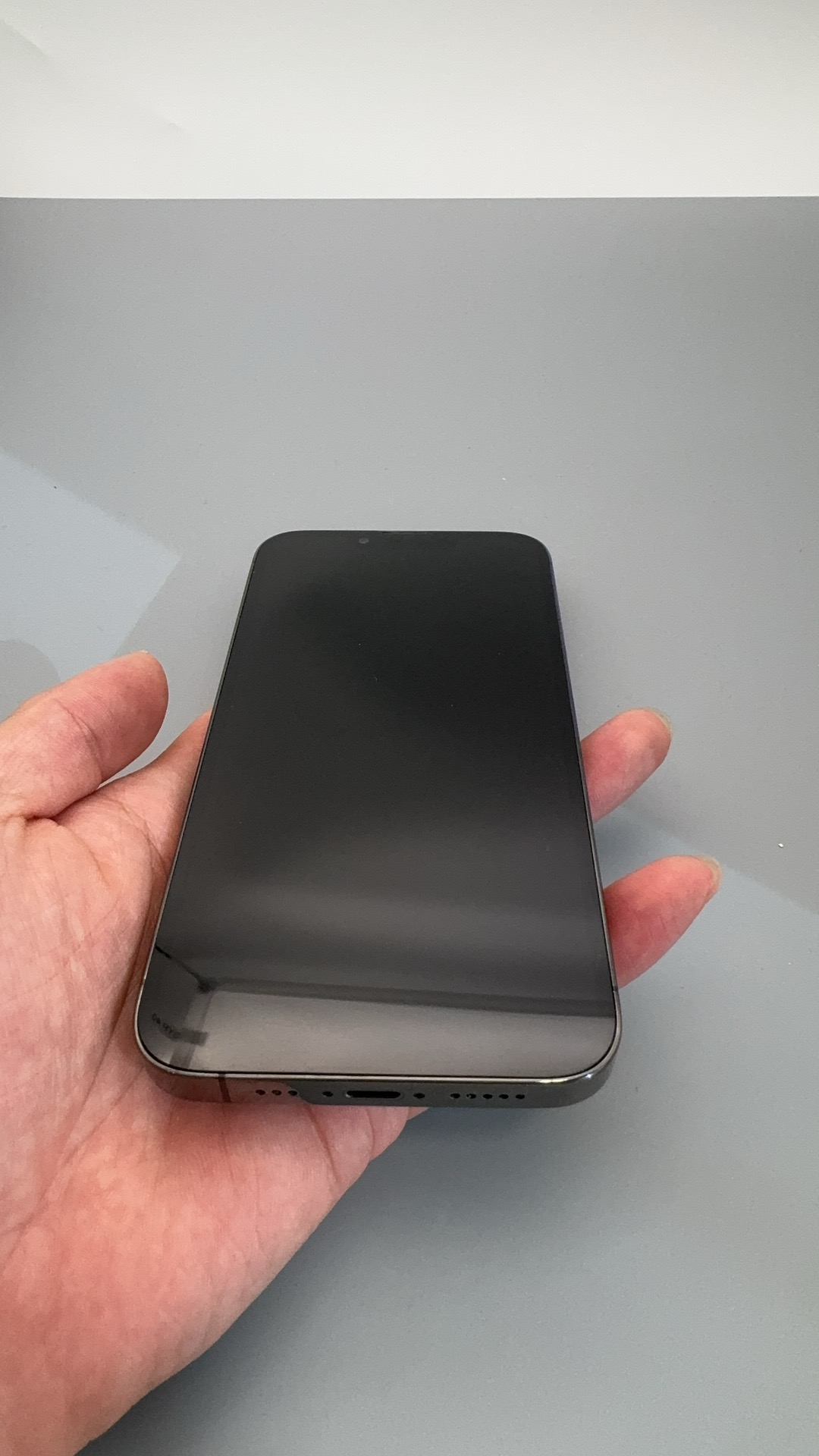iPhone 13 Pro
