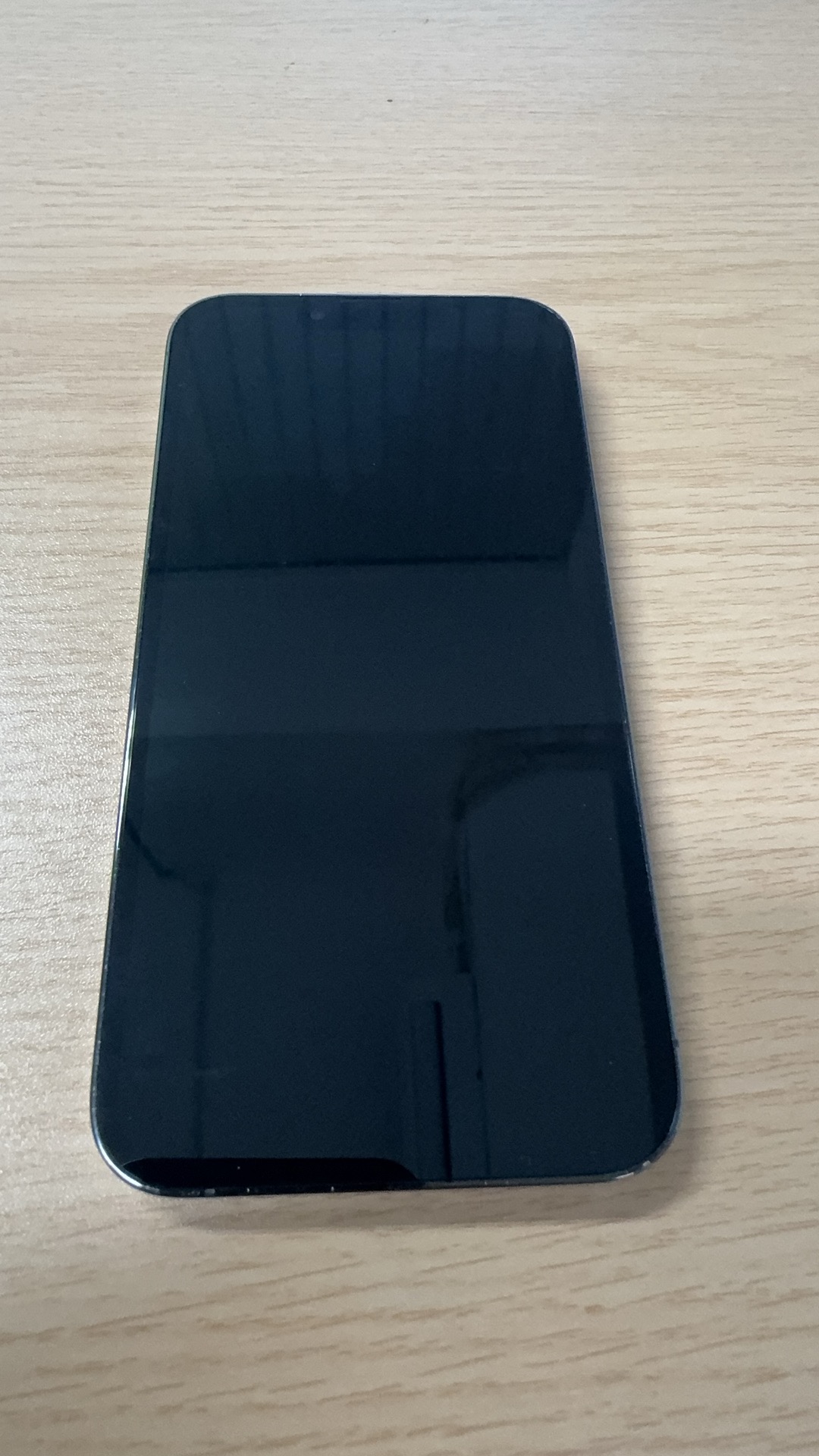 iPhone 13 Pro